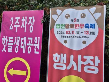 합천 핑크뮬리 신소양체육 공원 맛집 및 무료 주차 꿀팁