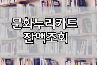 잔액조회