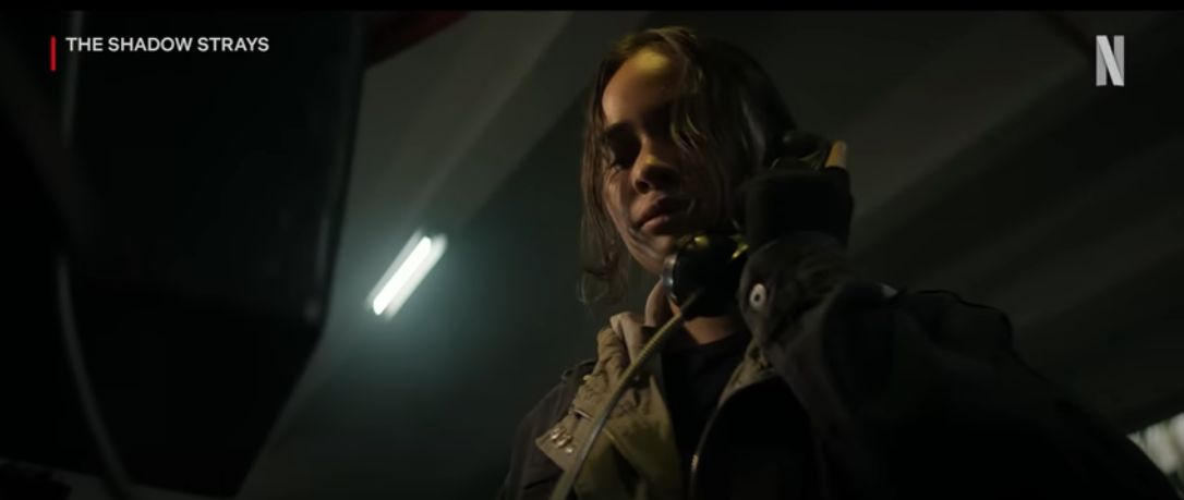 더 섀도 스트레이즈: 인도네시아 액션의 진수