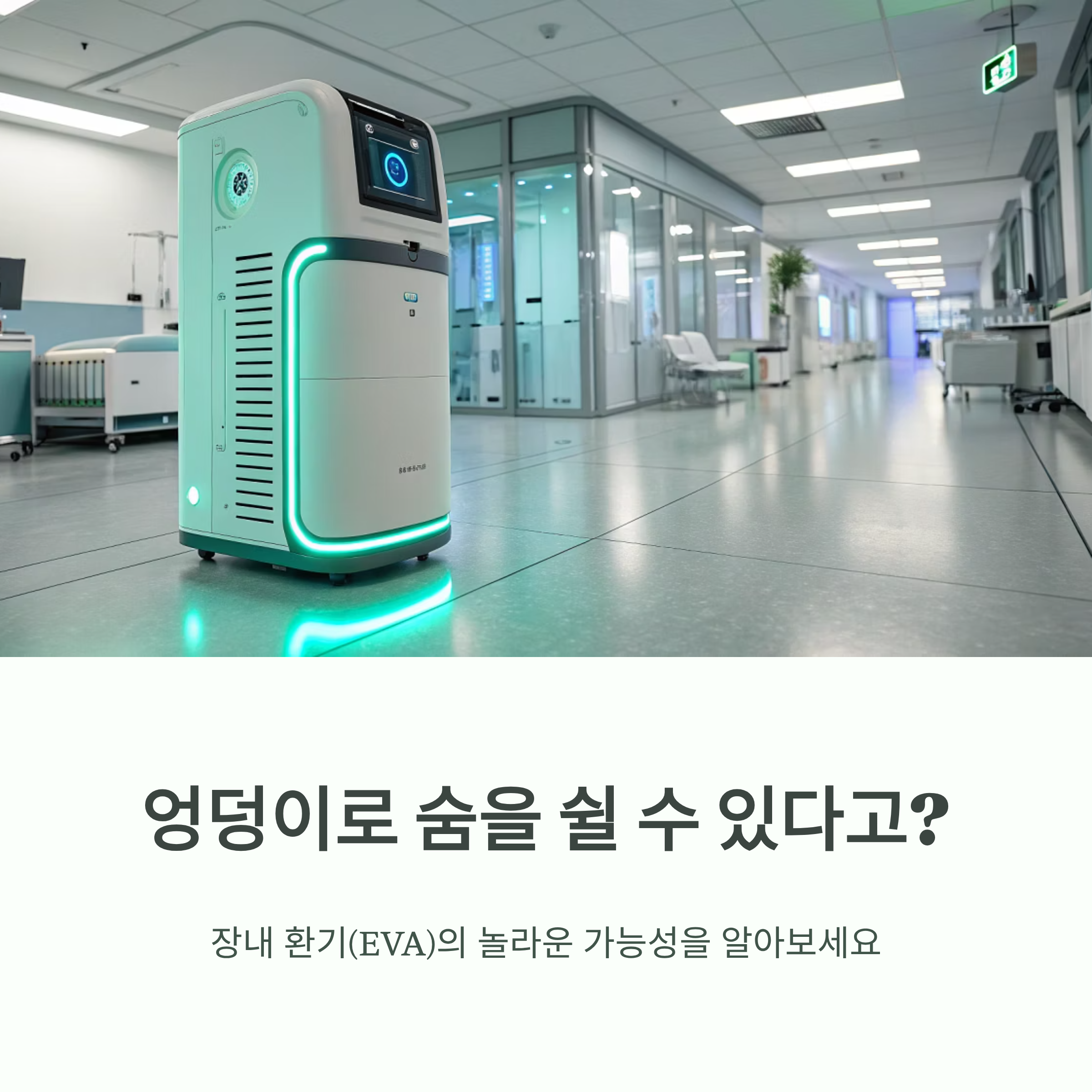엉덩이 호흡