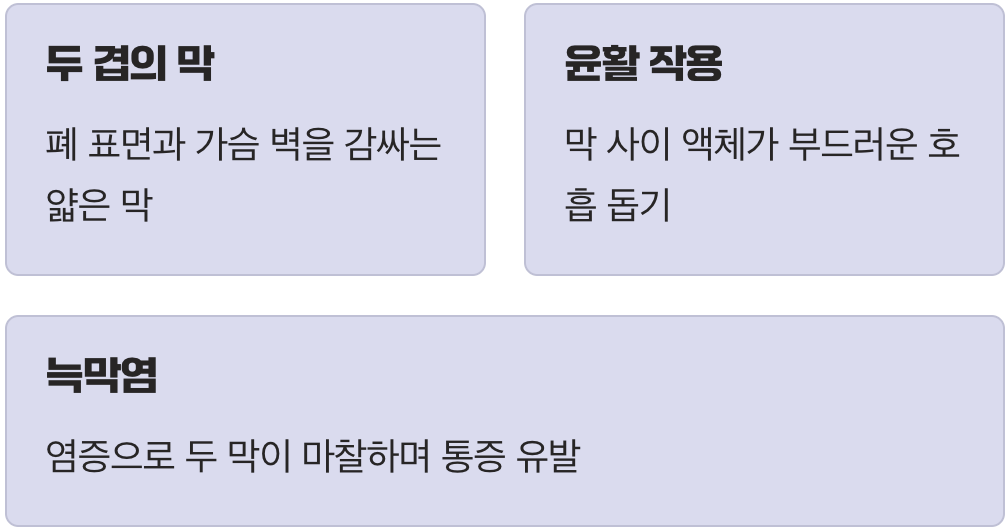 우리 폐를 감싸는 얇은 막, '늑막'