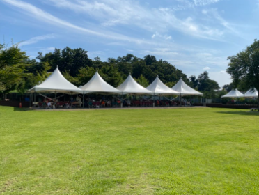 애견동반겨울여행지