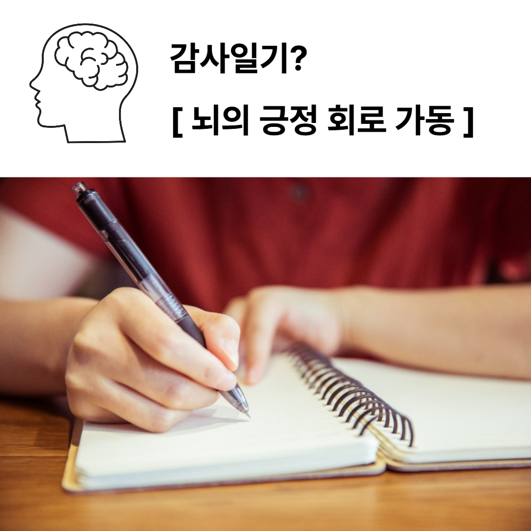 뇌의 긍정 회로 강화