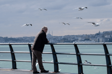 코히 의무교육 온라인 신청방법, 수료증 발급방법