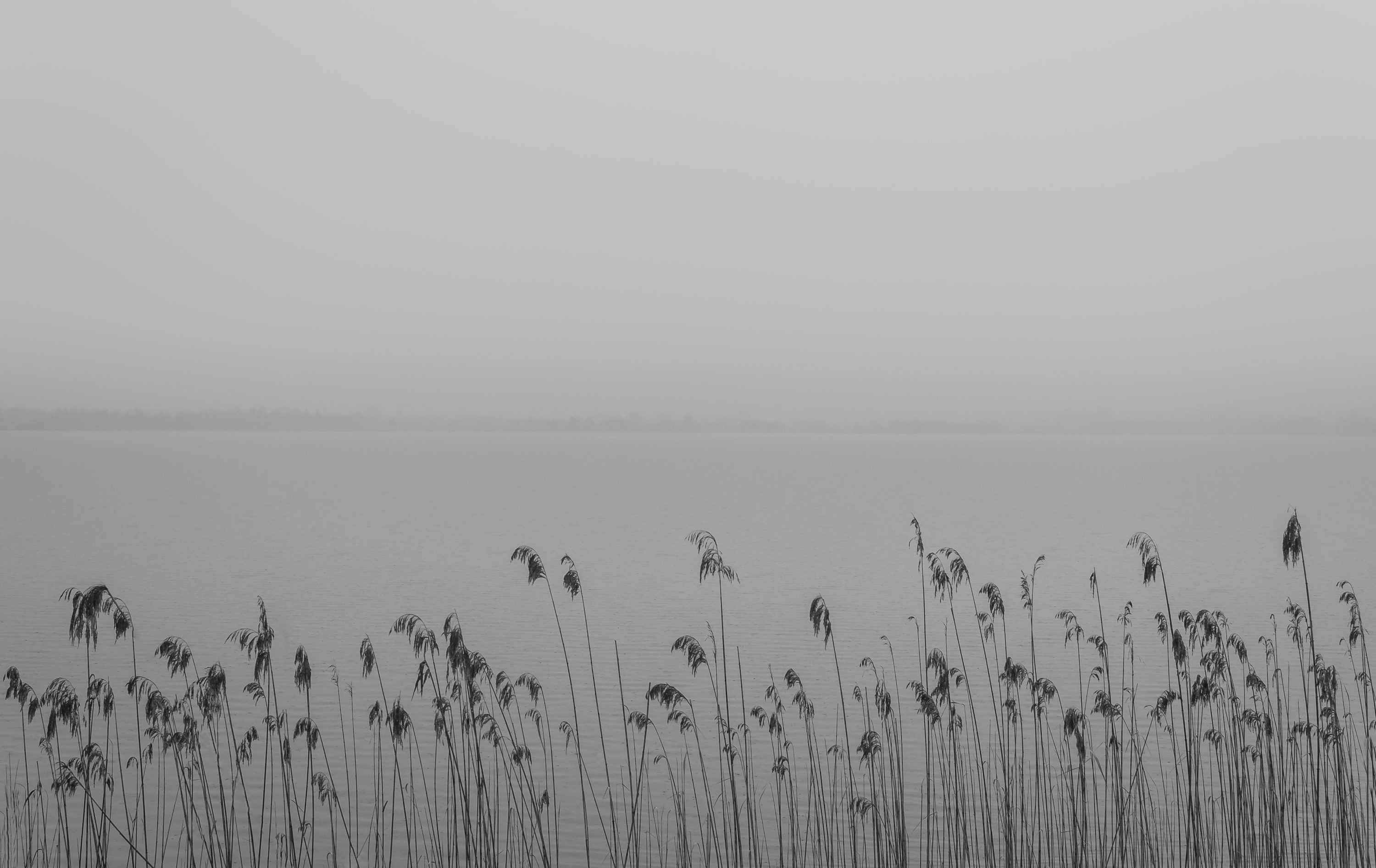 사별 친구 위로 메시지