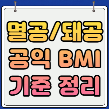 멸공 돼공 기준 공익 BMI