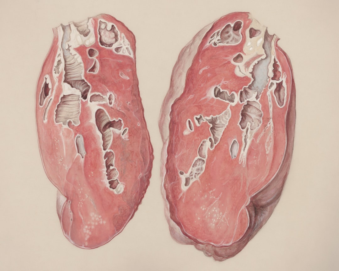 Liver