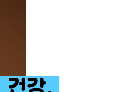 전립선암 초기증상