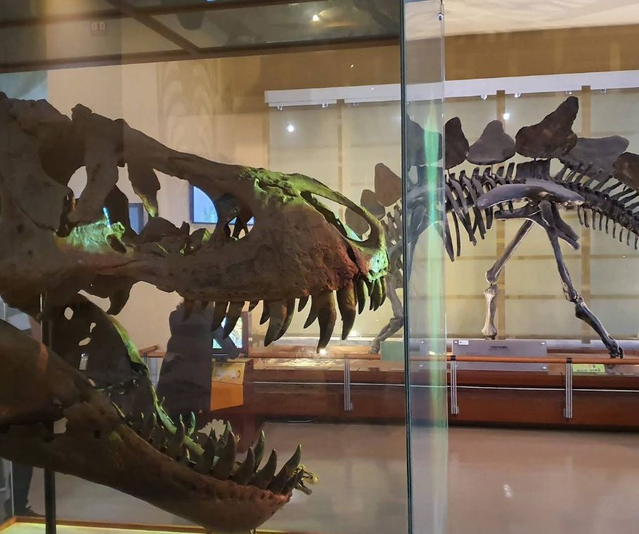 서대문자연사박물관