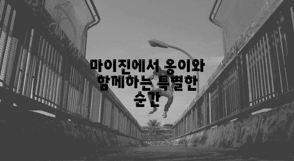 마이진에서 옹이와 함께하는 특별한 순간