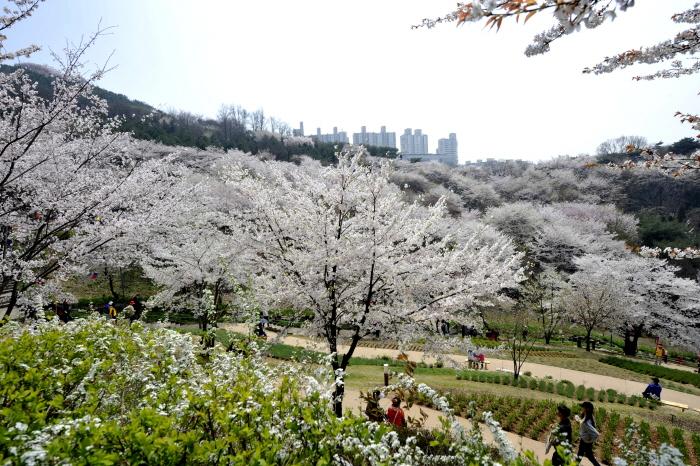안산자락길