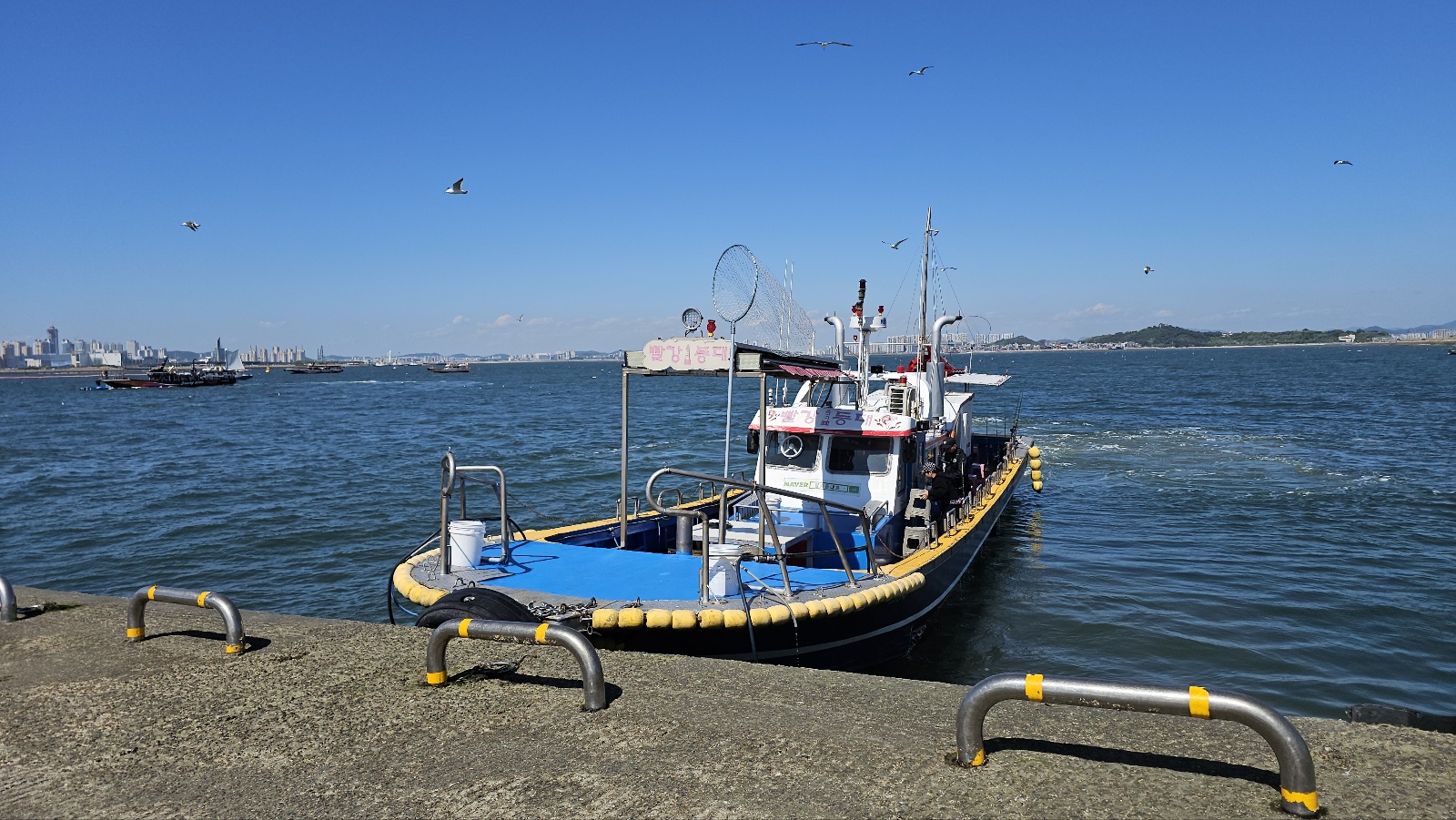 오이도(시흥 시화방조제) 배낚시 후기-Boat Fishing at Oido