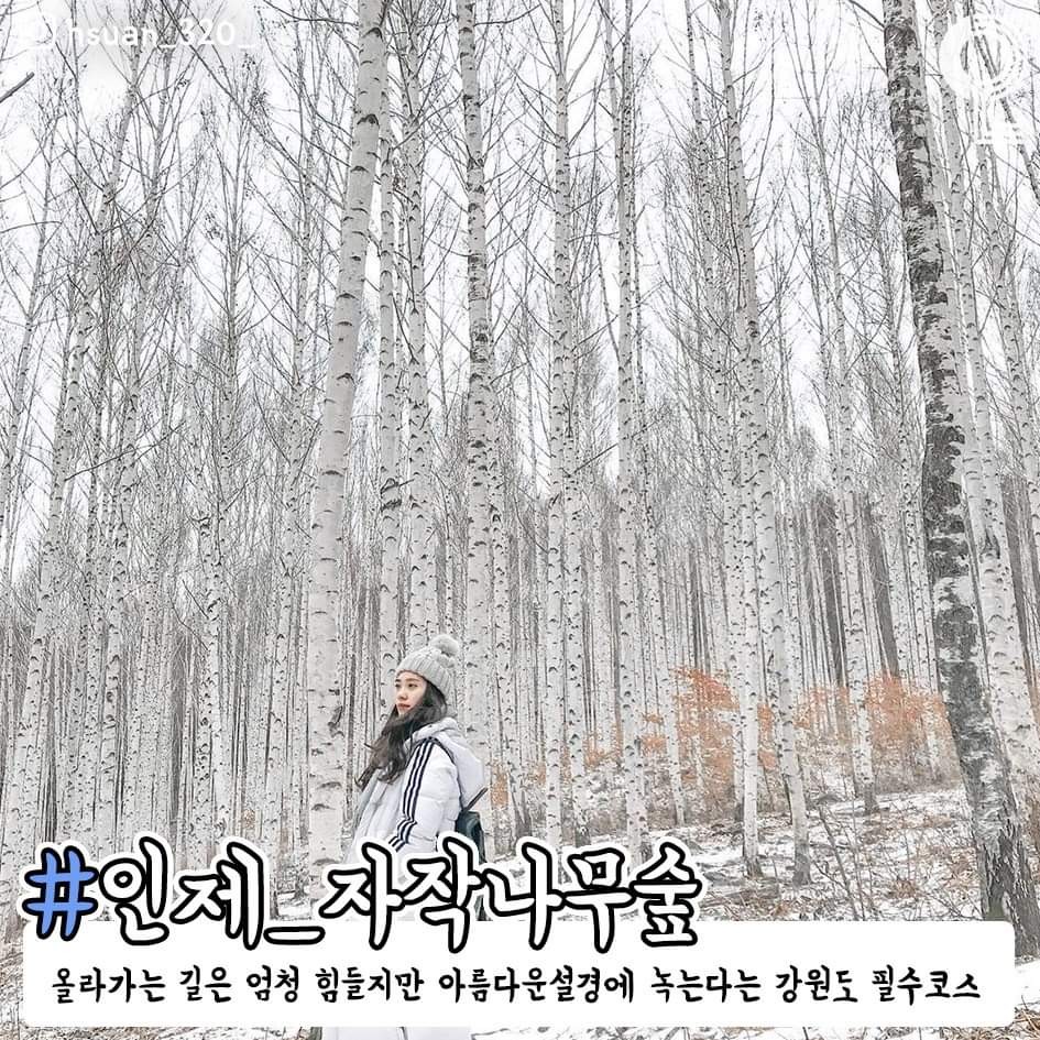 겨울에 너랑 가고 싶은 국내 여행지