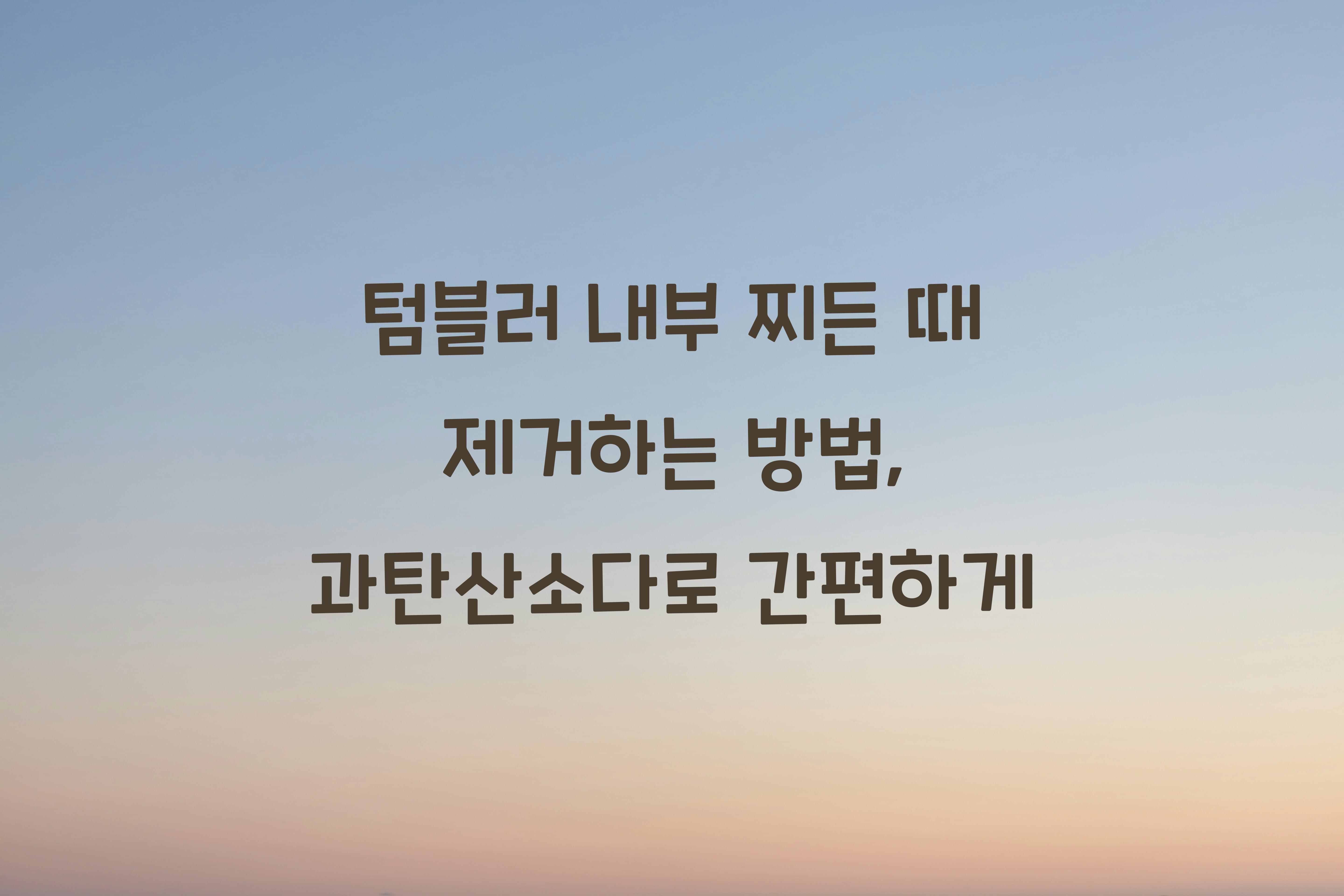텀블러 내부 찌든 때 제거하는 방법
