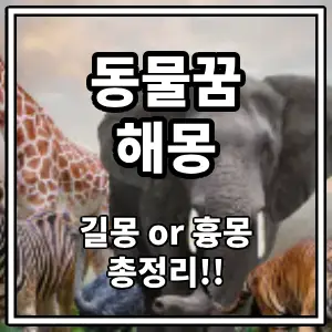 동물꿈