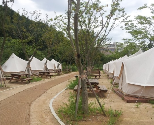 글램핑 텐트 도로