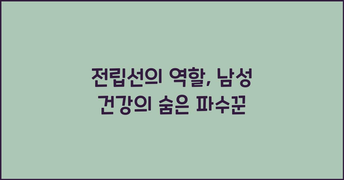 전립선의 역할
