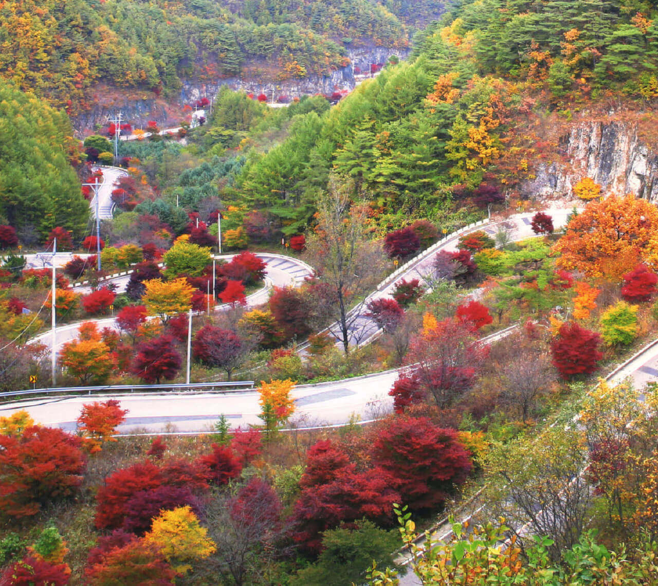 단양 보발재