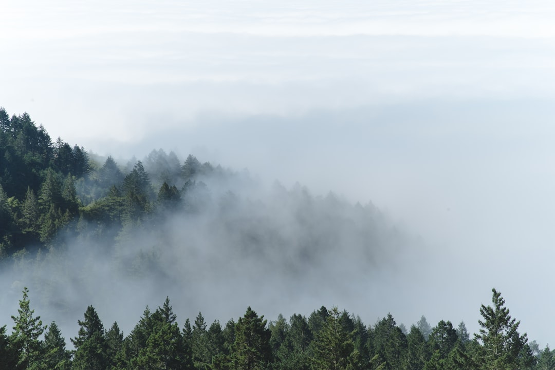 Respiration