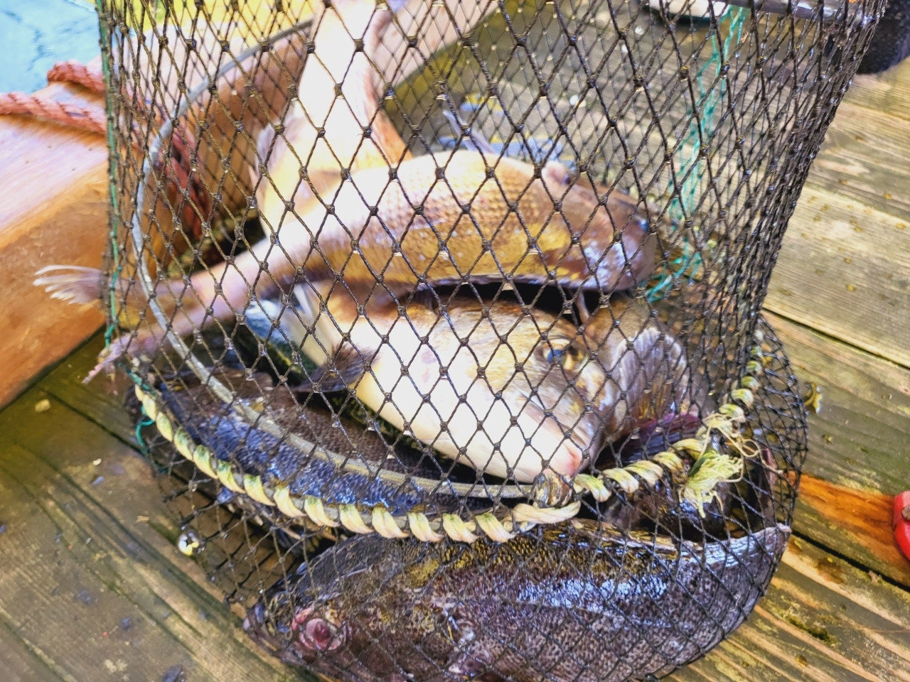 서해가볼만한곳 당진 서산 고려호 좌대 낚시 쇼핑몰 낚시대 없이 이용 가능 아이와가볼만한곳 충남가볼만한곳 아이랑갈만한곳 이색데이트 대한민국구석구석 물때표