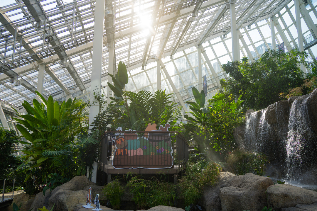 영흥 수목원 온실 내부