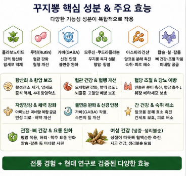 꾸지뽕-효능-먹는방법-부작용-열매-남자