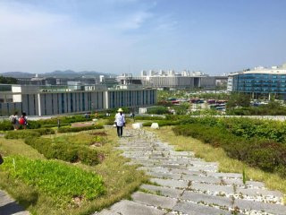 수도권 집중과 균형발전 전략