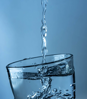 간에 좋은 음식