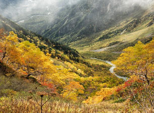 제21대 대통령선거 사전투표소