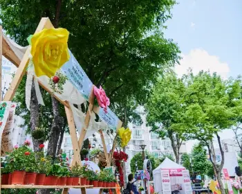 중랑 서울 장미축제_16