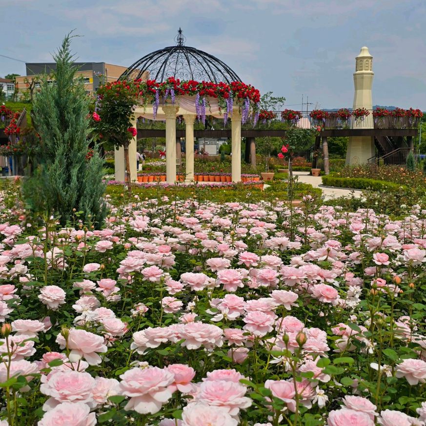 대청호반 자연수변공원