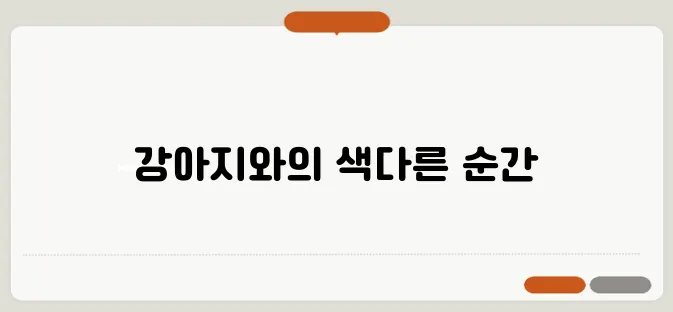 희귀한 강아지와 함께하는 특별한 경험
