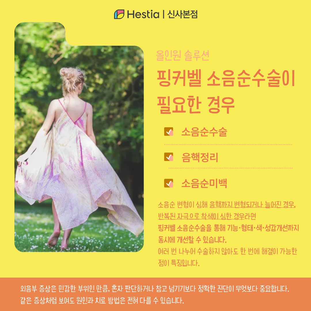 기능과 미학을 동시에, '핑커벨 소음순수술' 솔루션