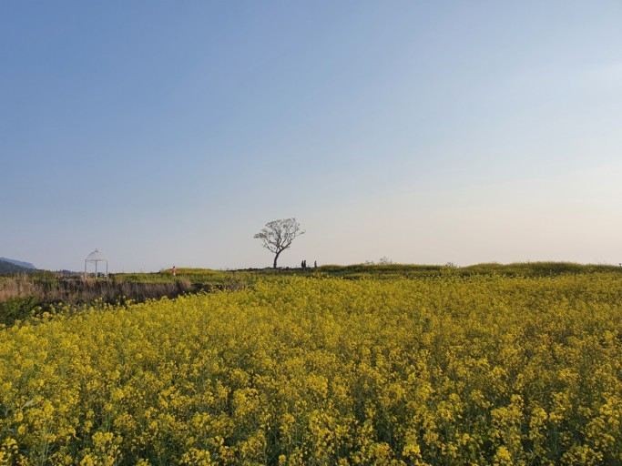 제주도 가볼 만한 곳 10곳