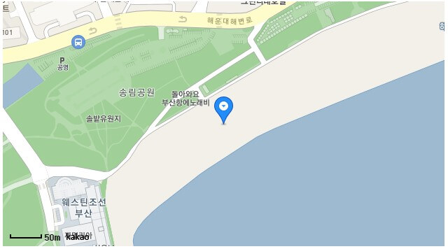 해운대 북극곰 축제는 얼어붙은 북극해에서 유유히 헤엄치는 북극곰처럼 한겨울 추운 날씨에도 바닷물에 뛰어들어 수영을 즐길 수 있는 축제입니다.