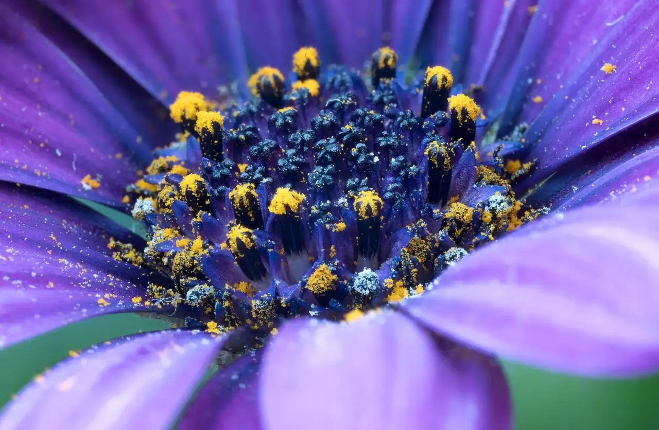 30대 퇴사자 위한 인도네시아 한 달 살기