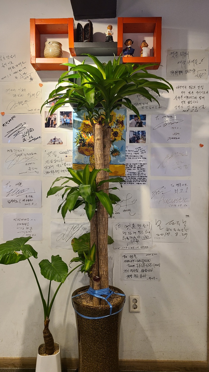 전주맛집-삼천동막걸리골목-옛촌막걸리-실내모습3