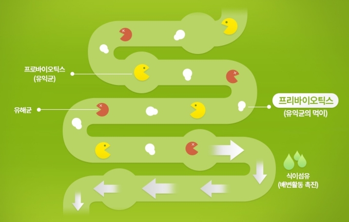 변비에 좋은 음식