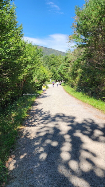 영남알프스-간월재-신불산-억새평원-억새군락지-코스추천 