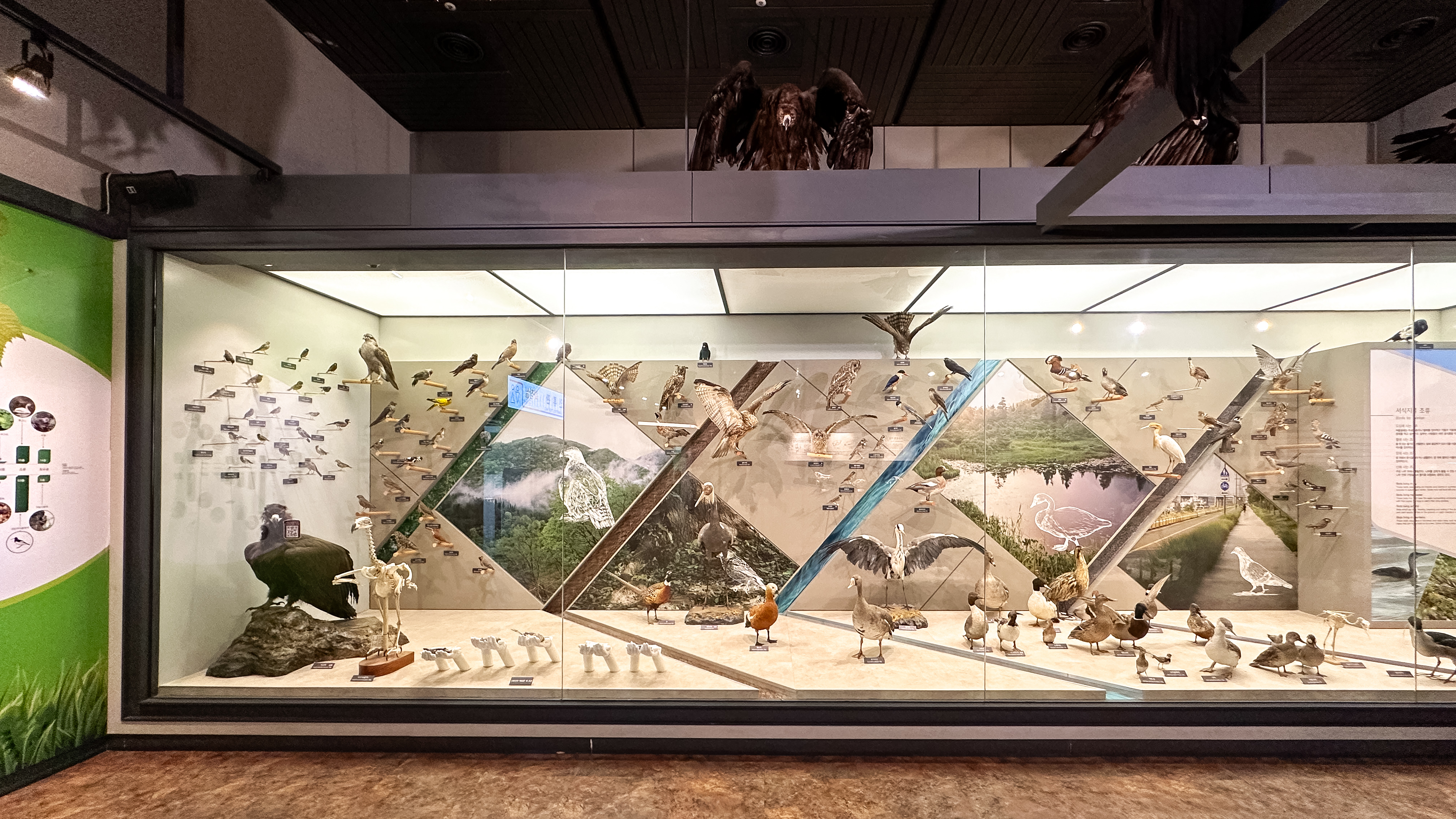 국립 중앙 과학관