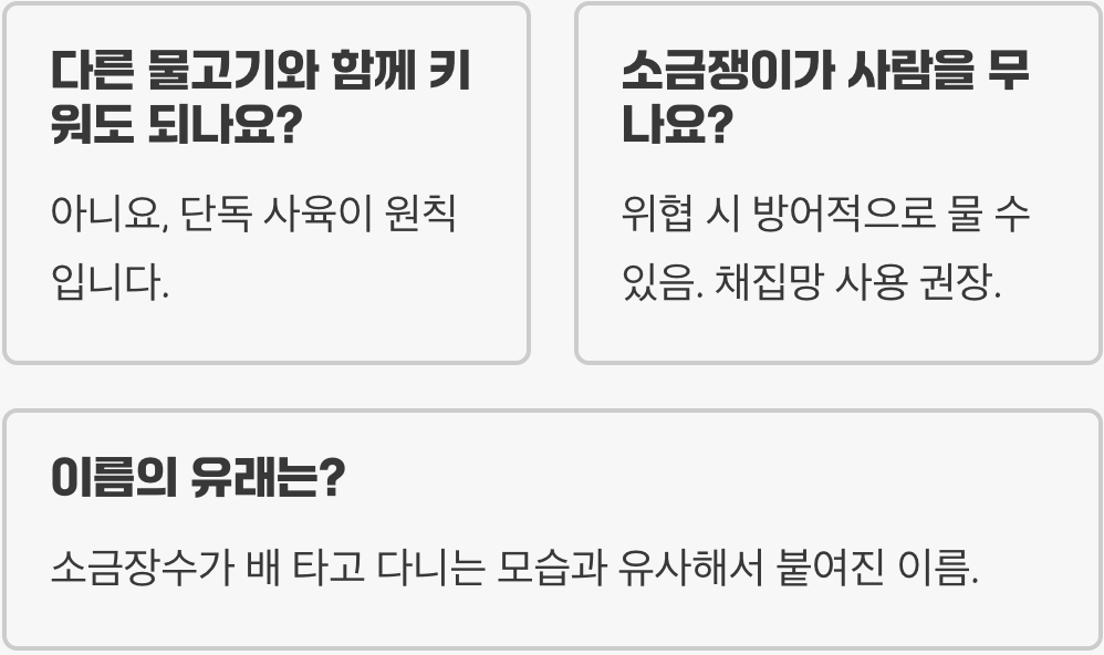 소금쟁이 키우기 완벽 가이드 (사육장, 먹이, 수질 관리)