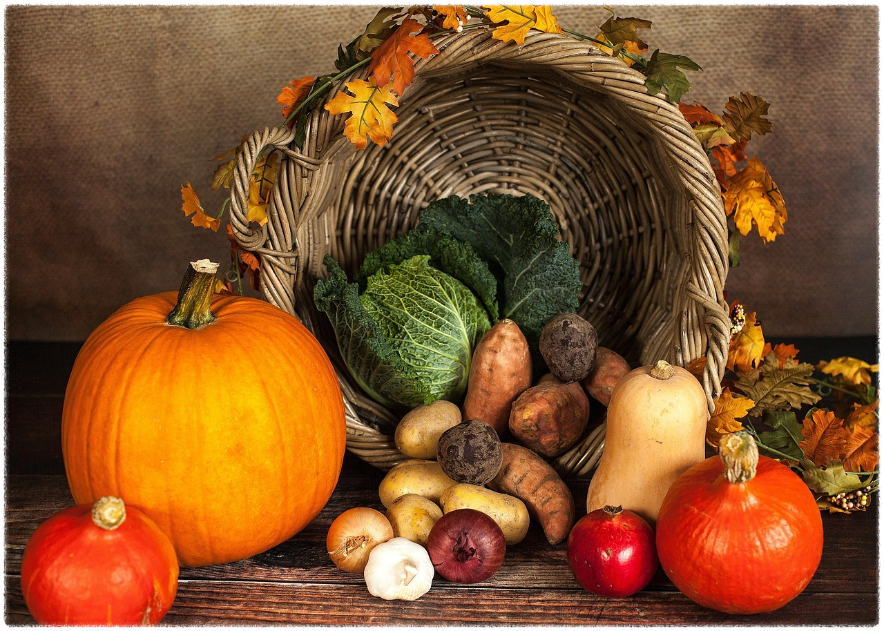 위고비와 오젬픽 차이는 뭔가요?