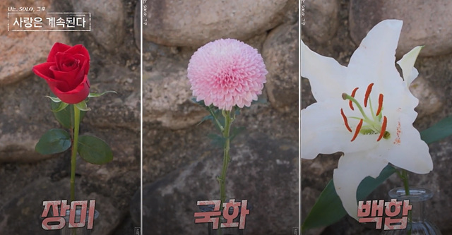 나솔사계 골싱특집 직업 나이 장미 국화 동백 백합