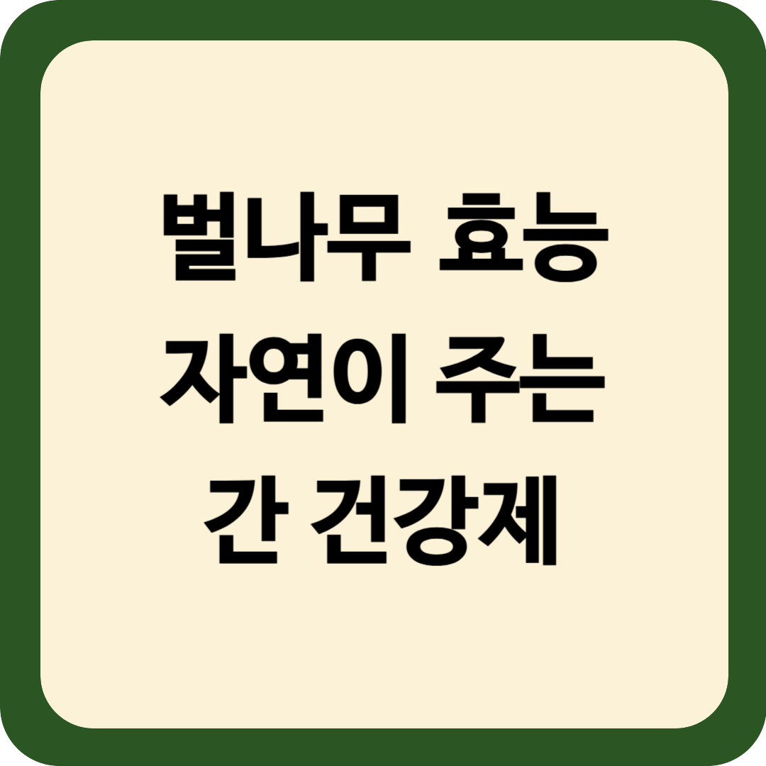 벌나무 효능