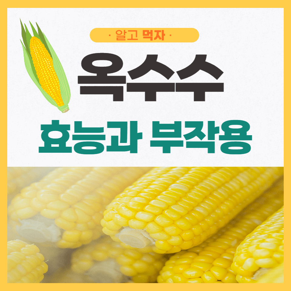 알고 먹자 옥수수 효능과 부작용 안내 포스터