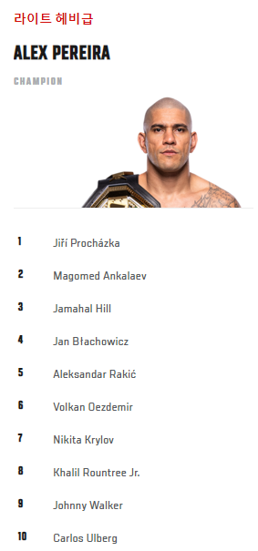 라이트헤비급-랭킹