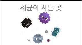 세균이 사는 곳