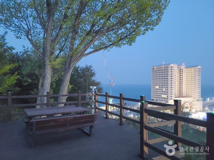 속초 대포항전망대
