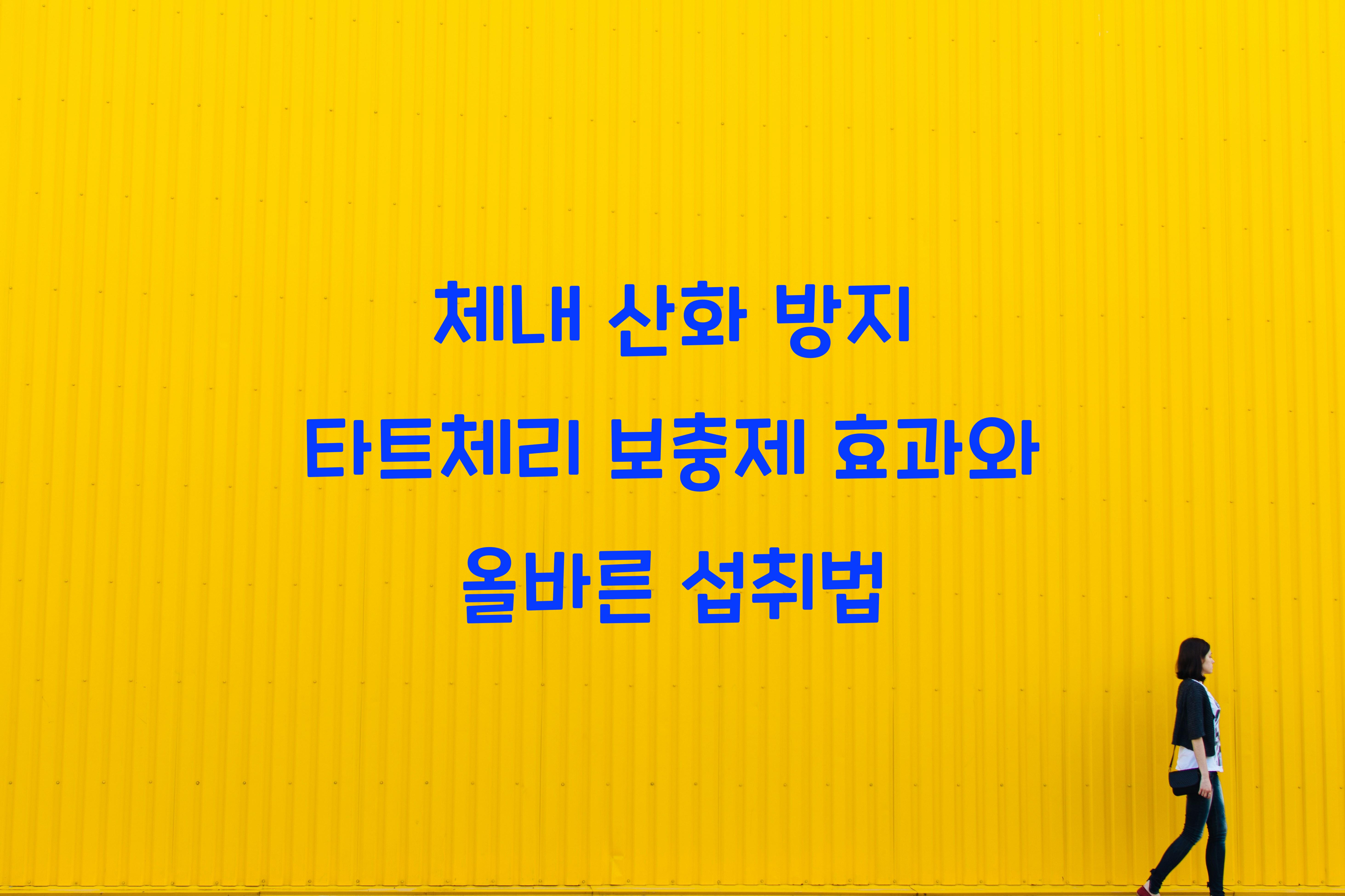 체내 산화 방지 타트체리 보충제