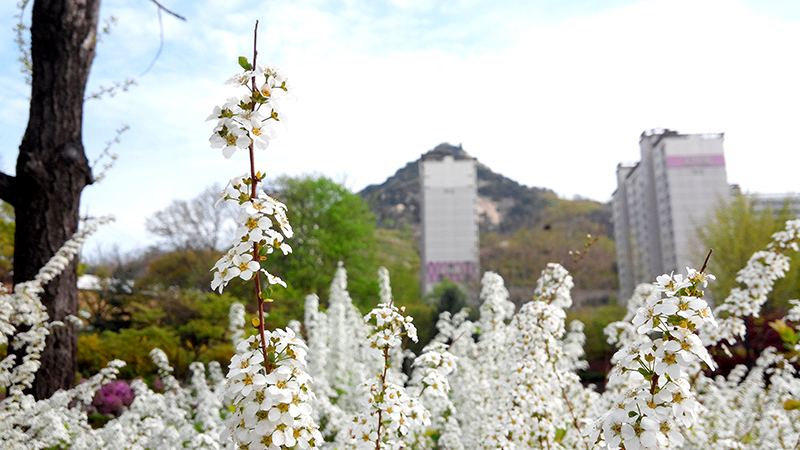 인왕산(仁旺山, Inwangsan)
